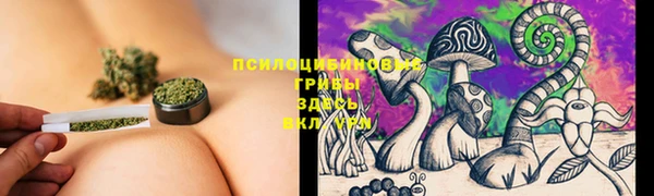 мяу мяу мука Дмитров