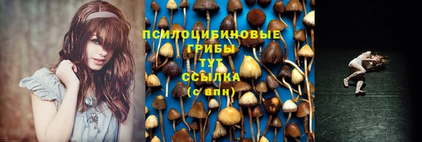 MDMA Дмитровск